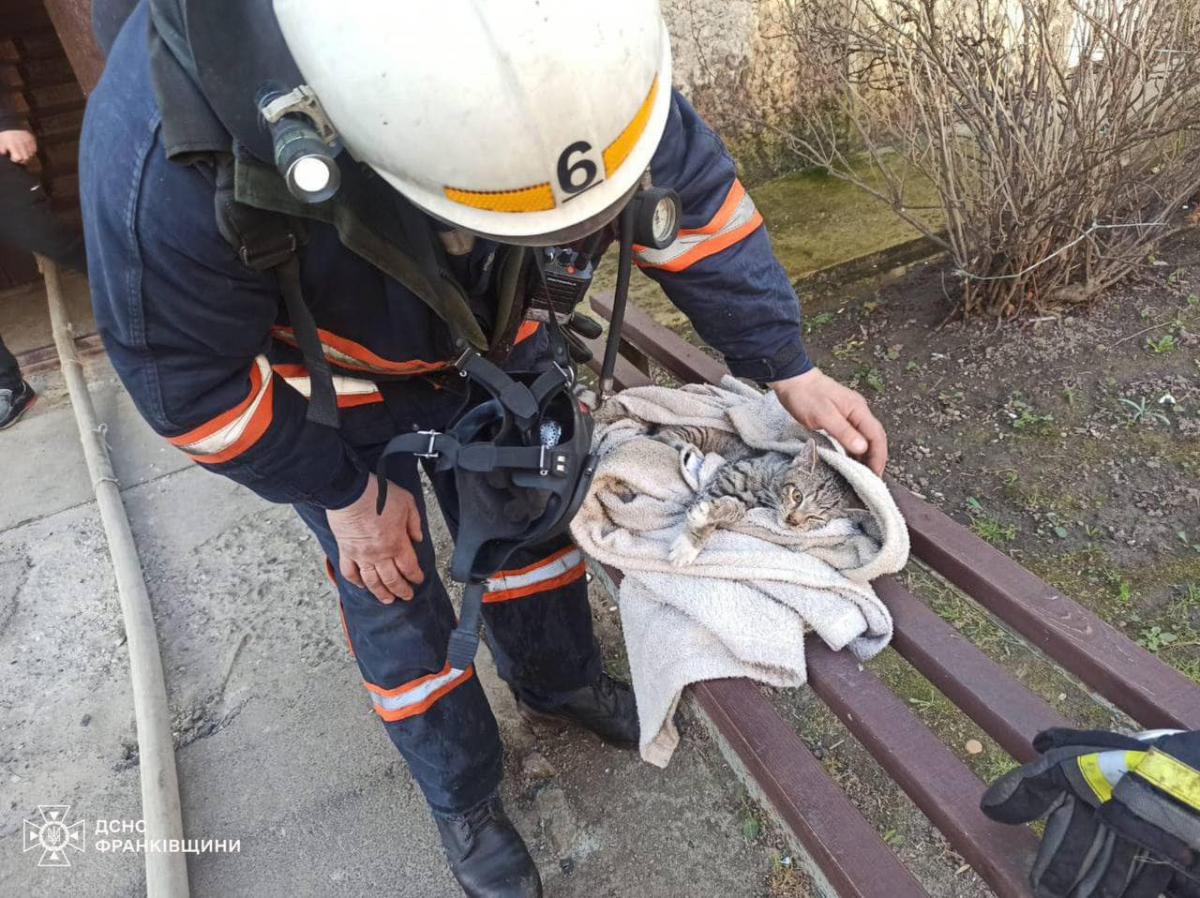 Вогнеборці врятували з палаючої квартири котика на Прикарпатті