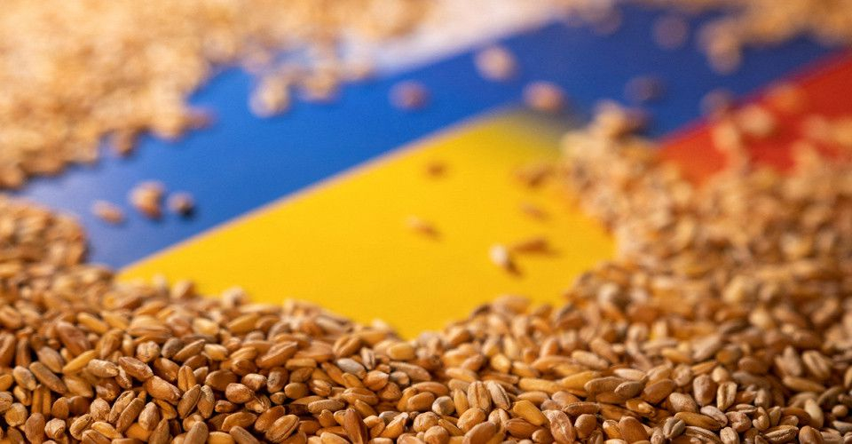 В Україні засіяли вже понад 2 мільйони гектарів ярих зернових