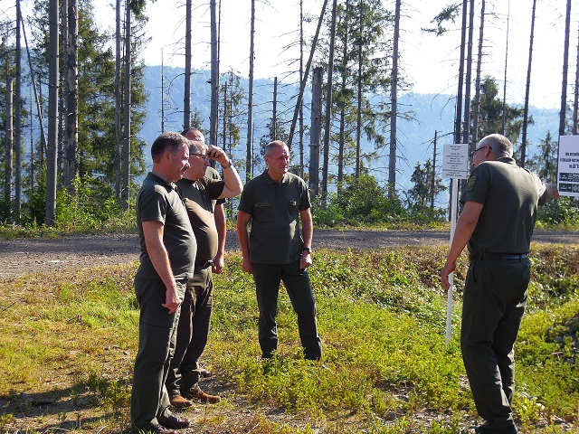 У Славському лісгоспі обговорили проблемні питання всихання ялинників в Карпатах