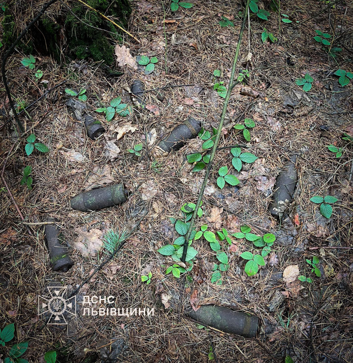 У лісі на Золочівщині знайдено 9 артснарядів