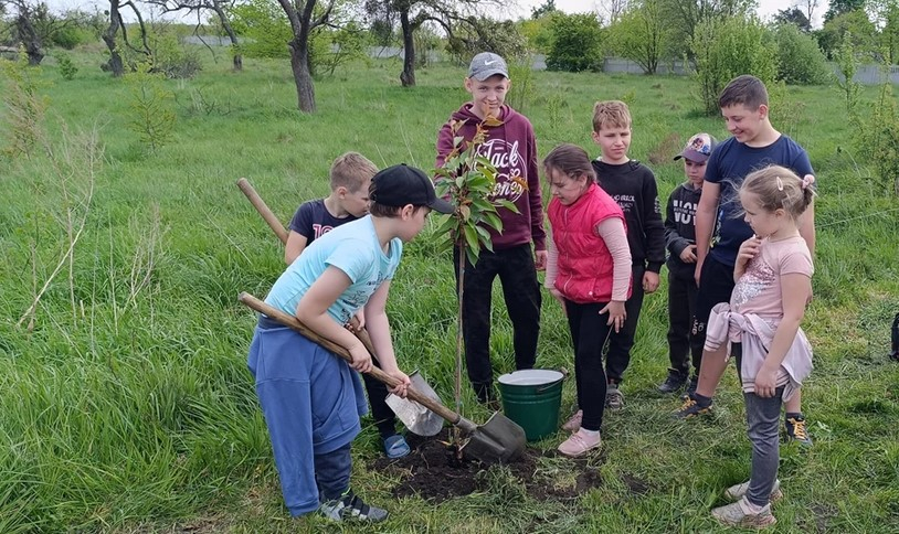 У Львівській області висадили понад 6 мільйонів дерев