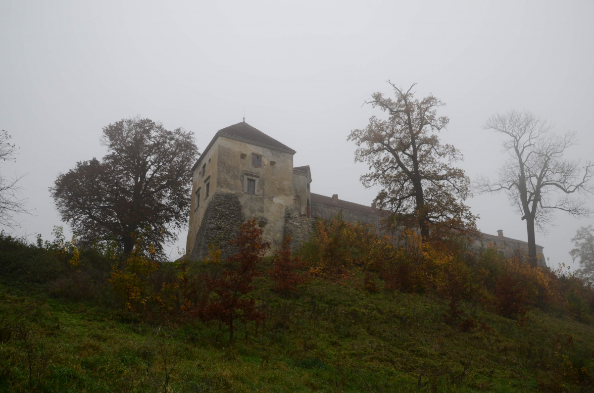 На території Свірзького замку облаштують культурно-мистецький простір