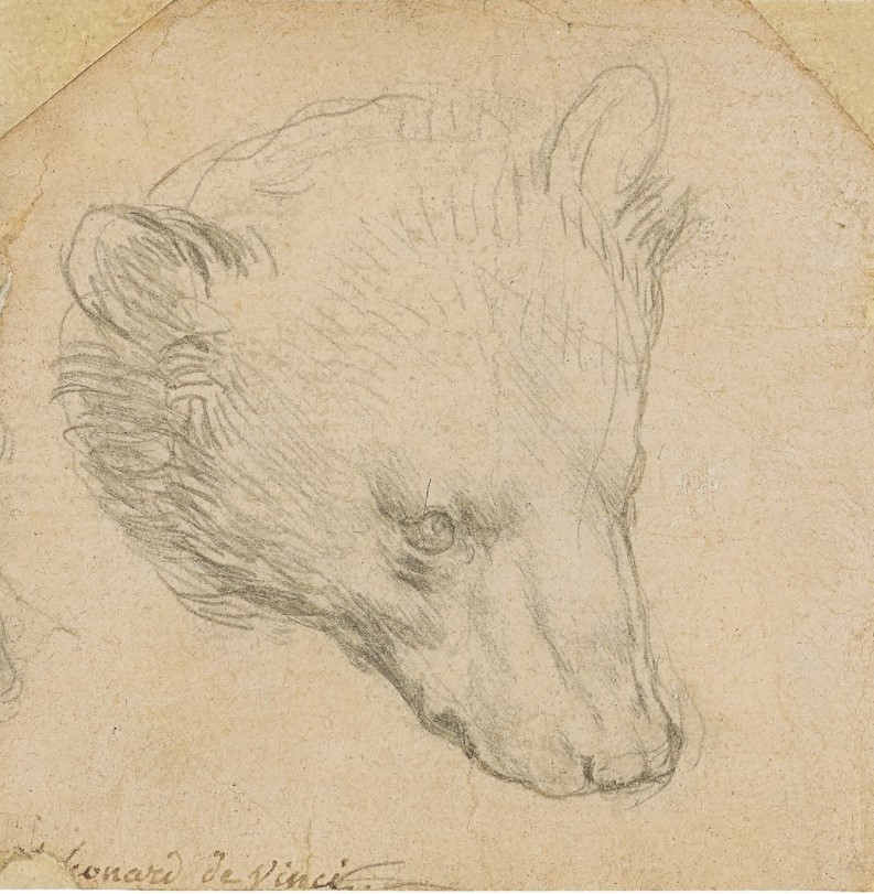 Малюнок Леонардо да Вінчі продали на аукціоні за понад 12 мільйонів доларів