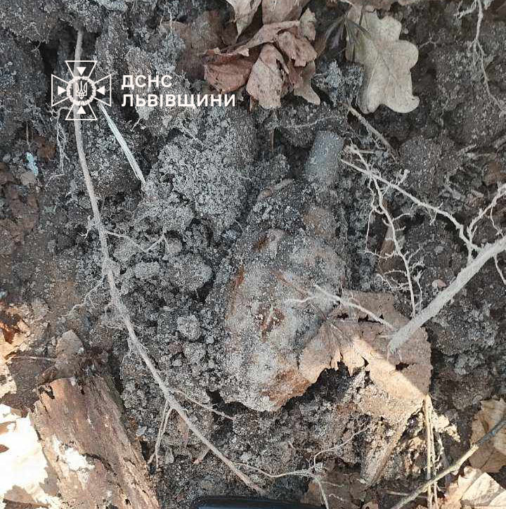 Під час прогулянки у лісі на Золочівщині чоловік виявив гранату