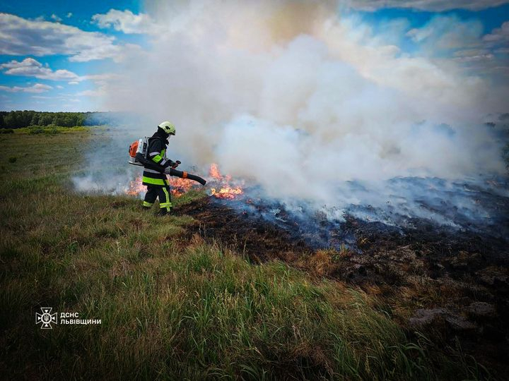 За минулу добу на Львівщині вчинили 21 пожежу сухої трави