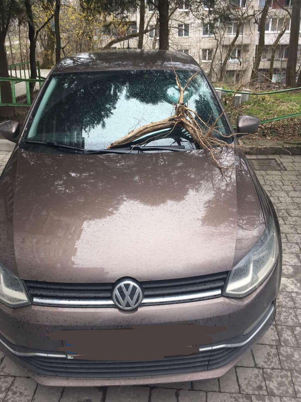 Невідомі пошкодили машину нової директорки львівської школи