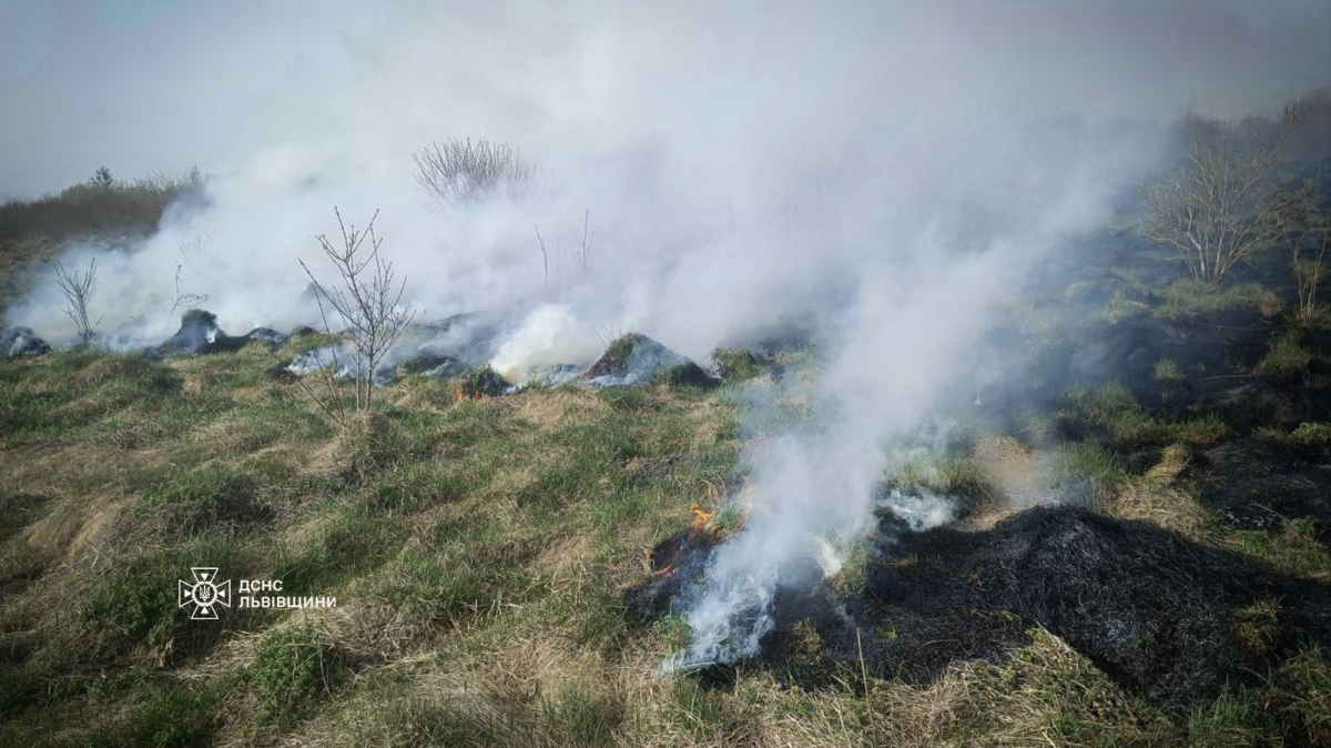 За минулу добу на Львівщині ліквідували 19 пожеж сухої трави