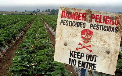 Експерти закликають владу заборонити використання трьох токсичних пестицидів в Україні
