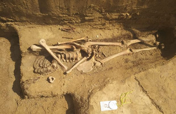 Знайдений під час розкопок скелет, ймовірно вояка УПА. Фото: Новинарня.
