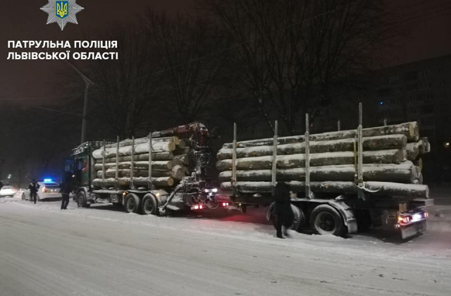 У Львові виявили дві вантажівки з нелегальною деревиною