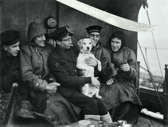 Фото: S.J. Beadell; моряки «Козака» з талісманом корабля, псом Плуто.