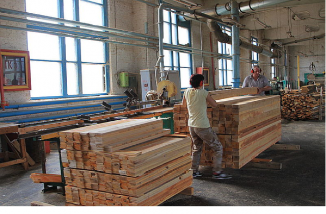 На Львівщині зростають обсяги переробки деревини