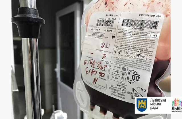 У Львові шукають донорів крові для собак