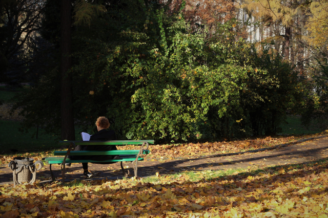 Осінній парк Івана Франка  що у центрі Львова. Фото Гал-інфо, Олена Ляхович