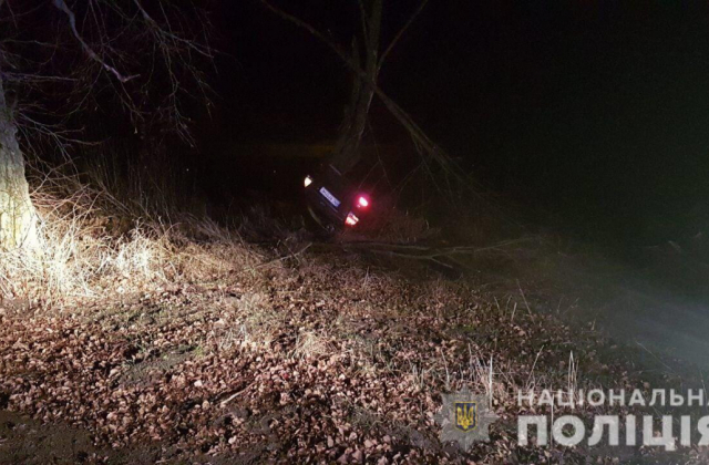 На Самбірщині автомобіль "Kia" в’їхав у дерево