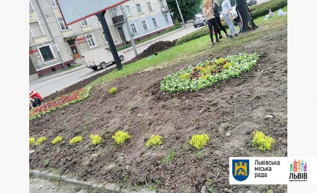 У Львові на перехресті вулиць Городоцька-Сяйво облаштували новий квітник