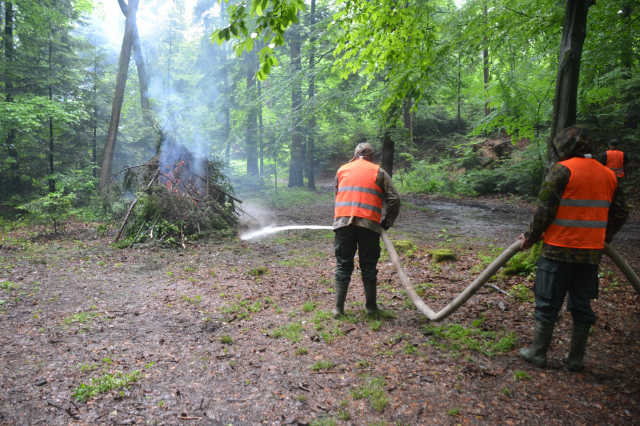 На Львівщині відбулись тактичні навчання з ліквідації пожеж у лісах