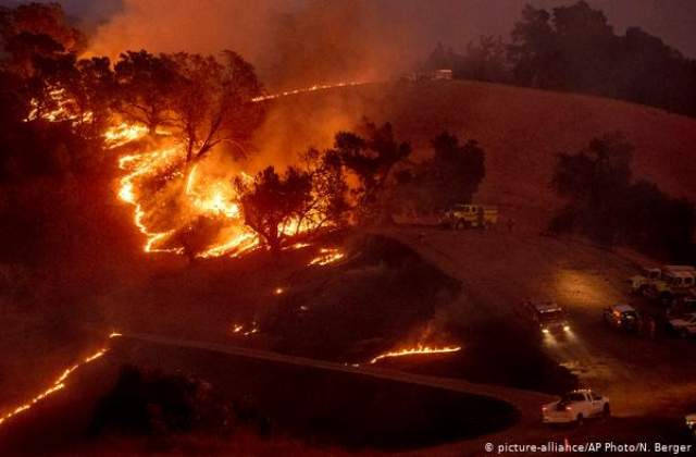 Пожежа в каліфорнійському окрузі Сонома