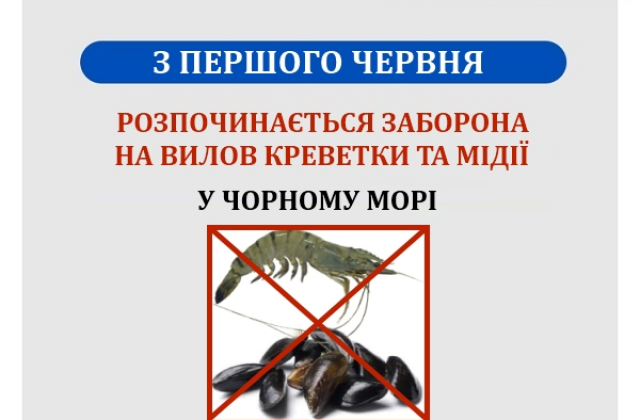 З початку червня у Чорному морі заборонено вилов креветки та мідії
