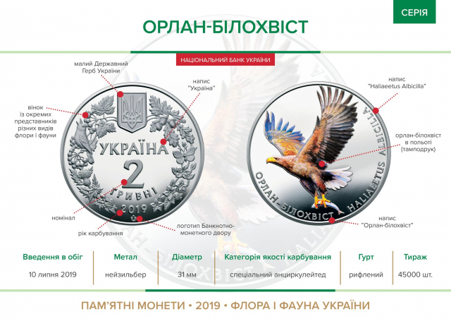 НБУ ввів у обіг дві пам’ятні монети “Орлан-білохвіст”