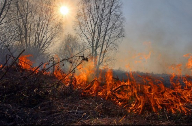 На Львівщині висока пожежна небезпека