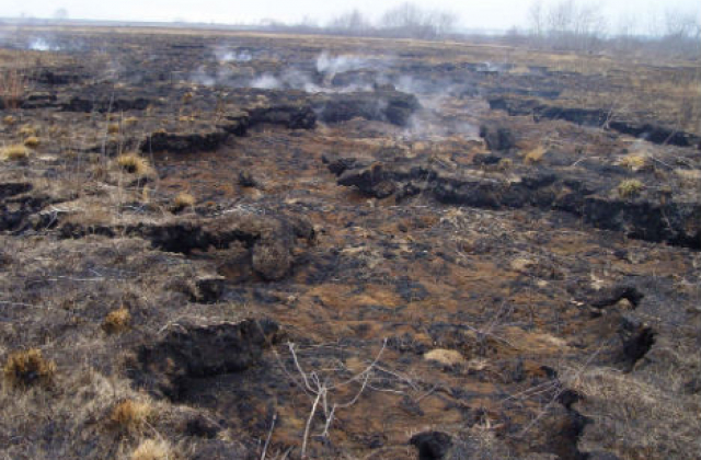 Цьогоріч на Львівщині зафіксовано 1204 пожежі в екосистемі