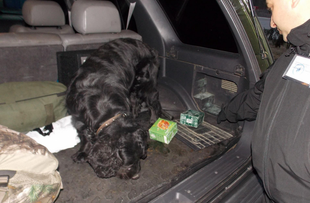 На Чернігівщині службовий собака допоміг прикордонникам виявити набої