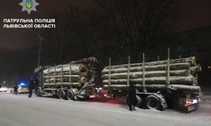 У Львові виявили дві вантажівки з нелегальною деревиною