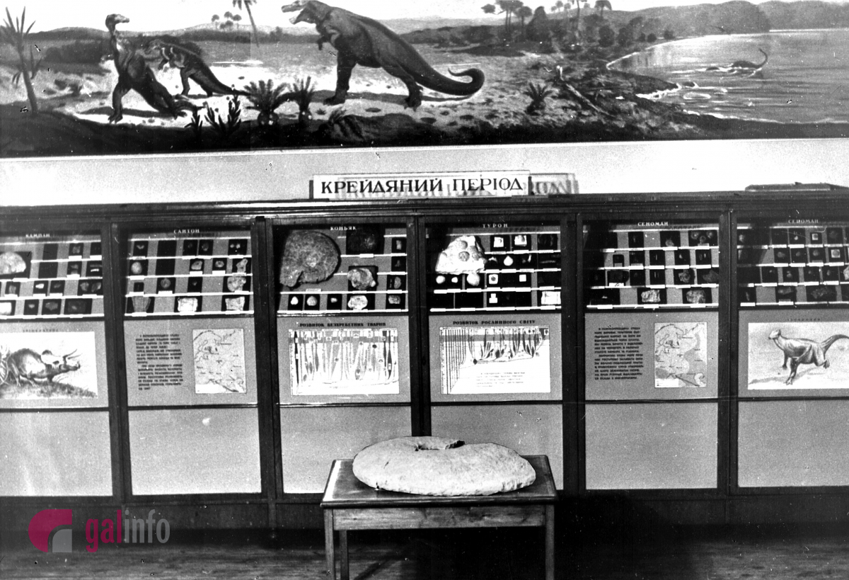 Експозиція палеонтологія. Фото надані Гал-інфо з архіву Державного природознавчого музею Національної академії наук України.