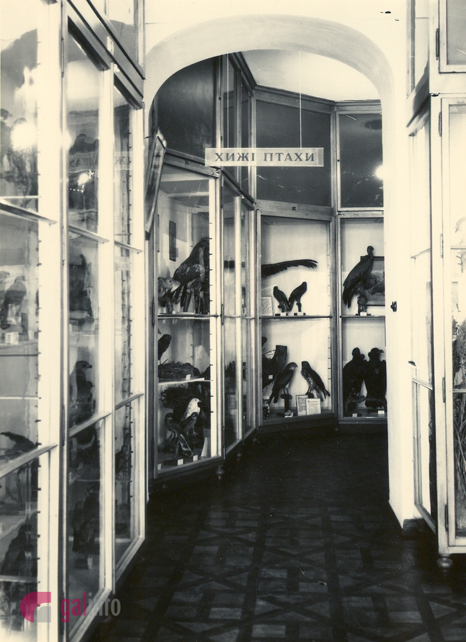 Експозиція 70-80-х років. Фото надані Гал-інфо з архіву Державного природознавчого музею Національної академії наук України.