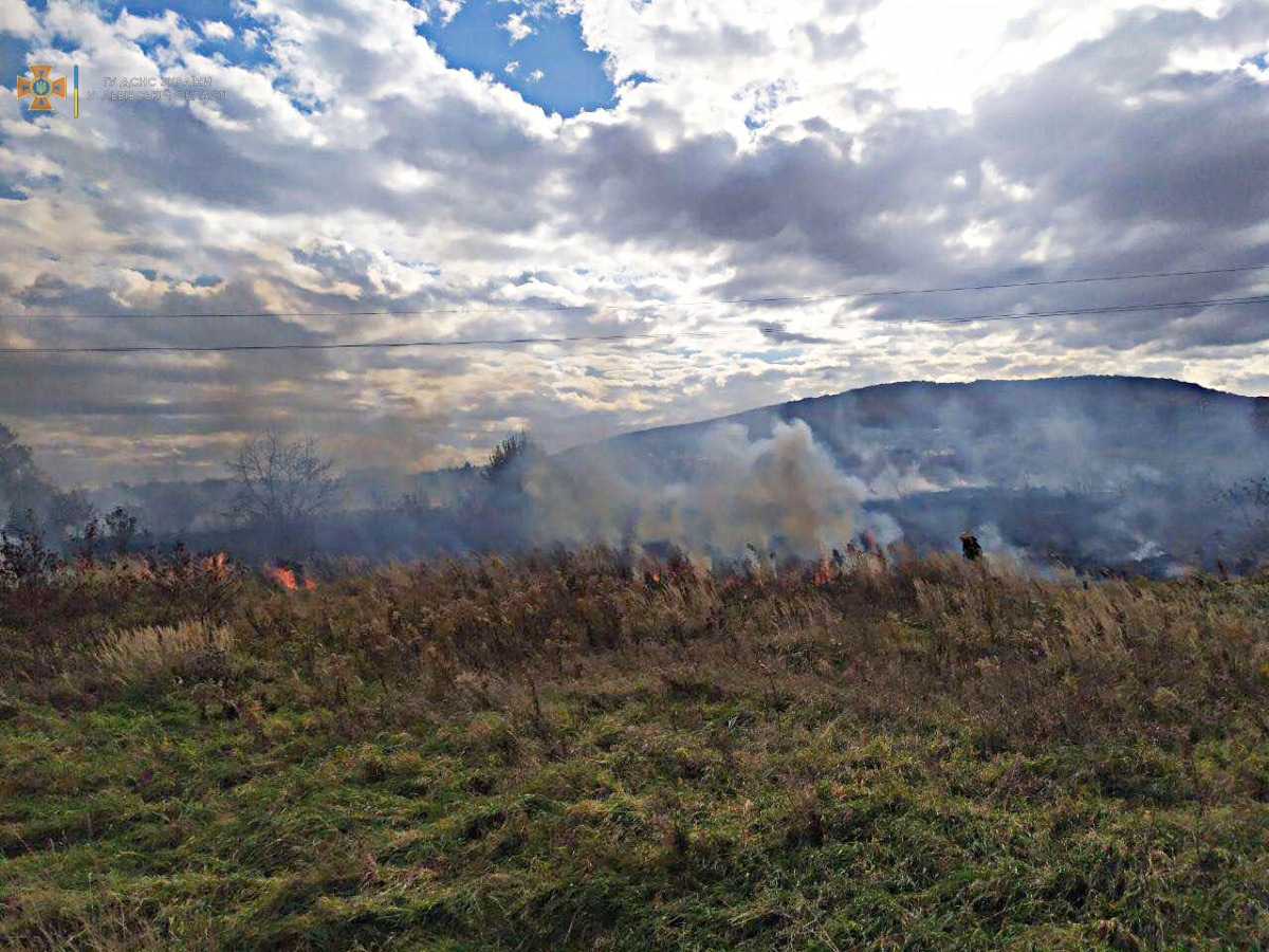 На Львівщині за минулу добу вогнеборці ліквідували 6 пожеж сухої трави