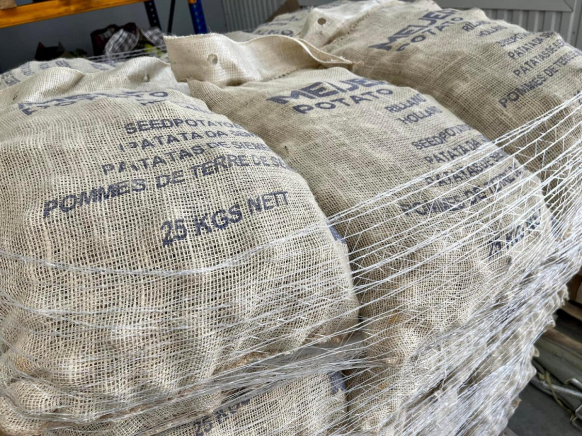 Аграрії Львівщини отримали 5 тонн посадкової голландської картоплі