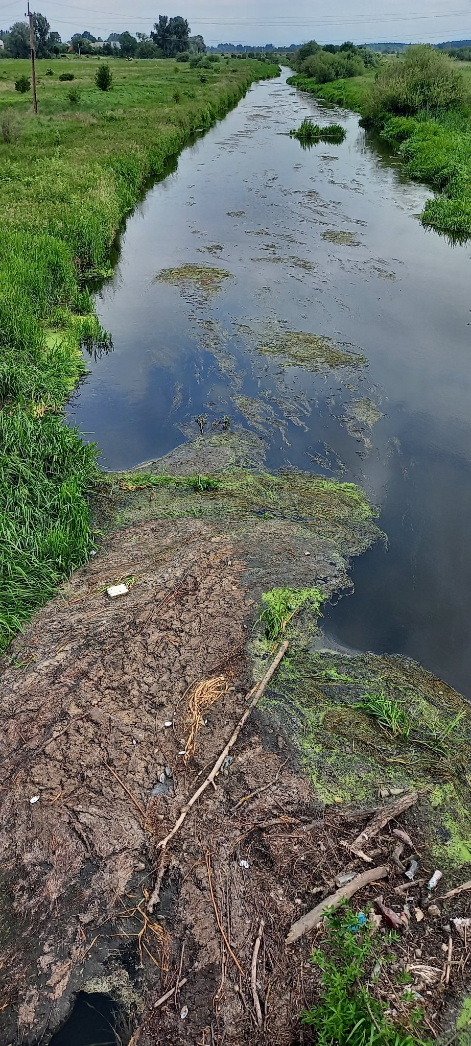 У річці Верещиця на Львівщині виявили значне забруднення: що відомо