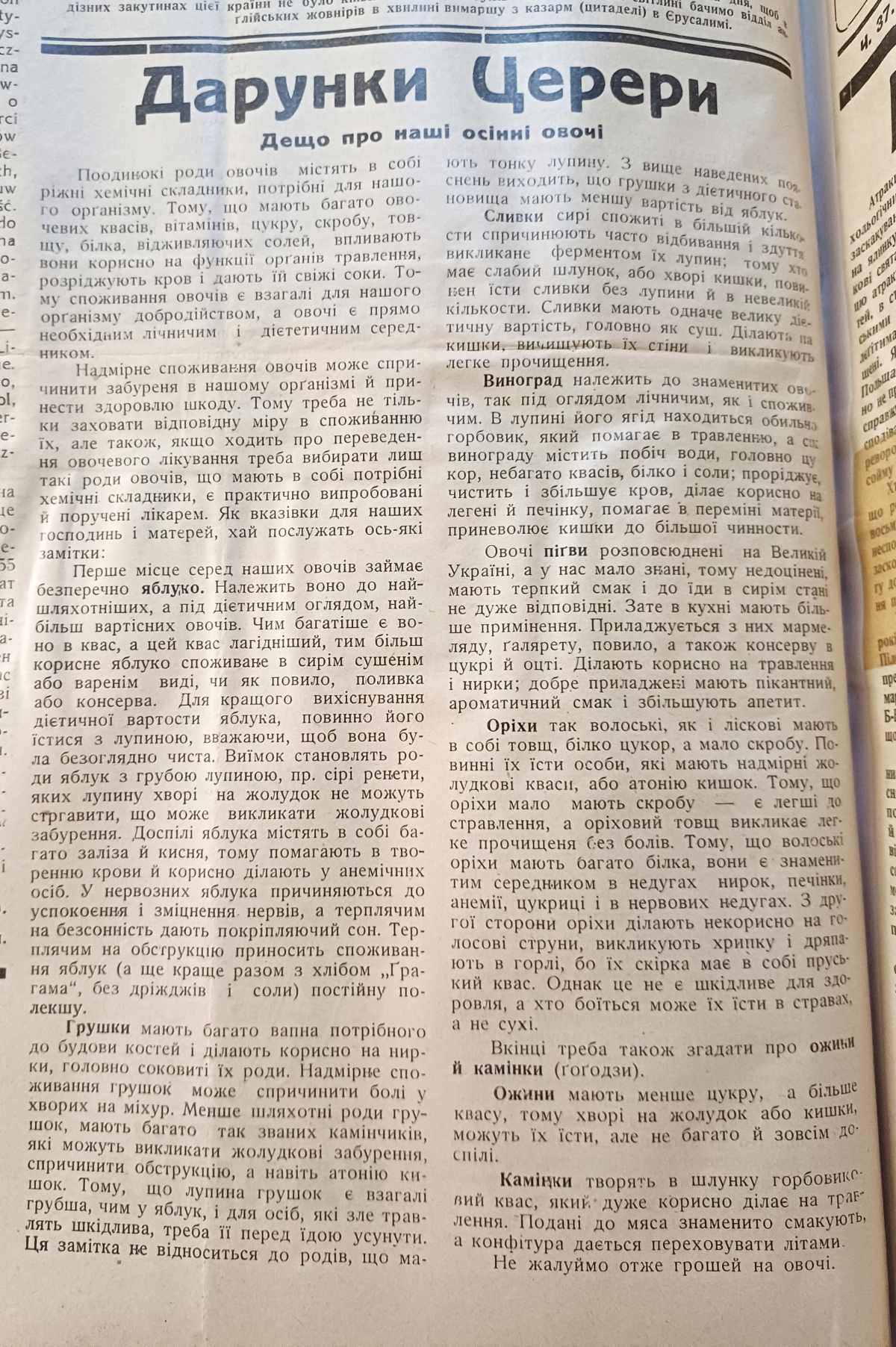 “Не жалуймо, отже, грошей на овочі”: як колись у Львові пропагували здорове харчування