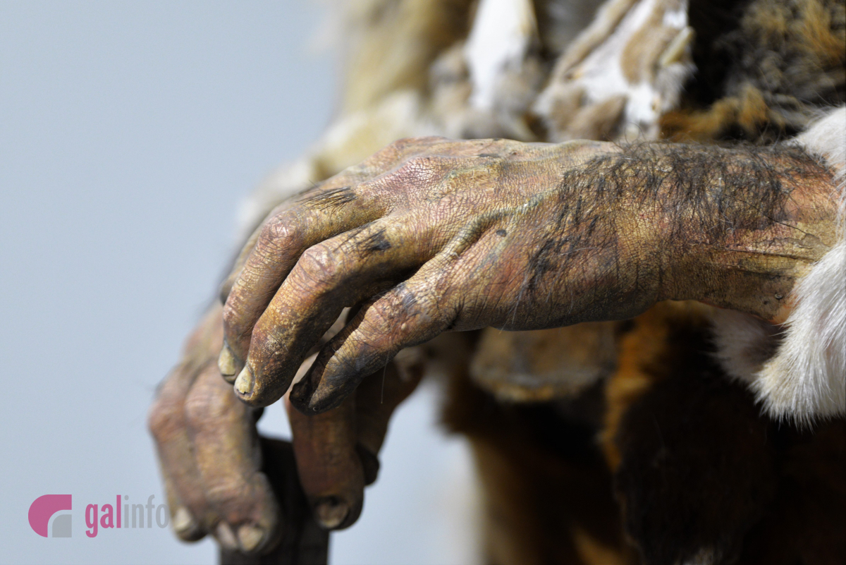 Руки кроманьйонця, людини пізньої кам’яної доби. У Львові відкрили виставку 