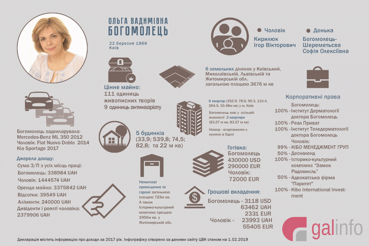Сотні тисяч готівкою, картини, будинки, квартири – декларація Ольги Богомолець (інфографіка)