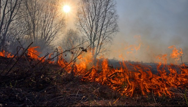 За минулу добу на Львівщині було 9 пожеж сухостою