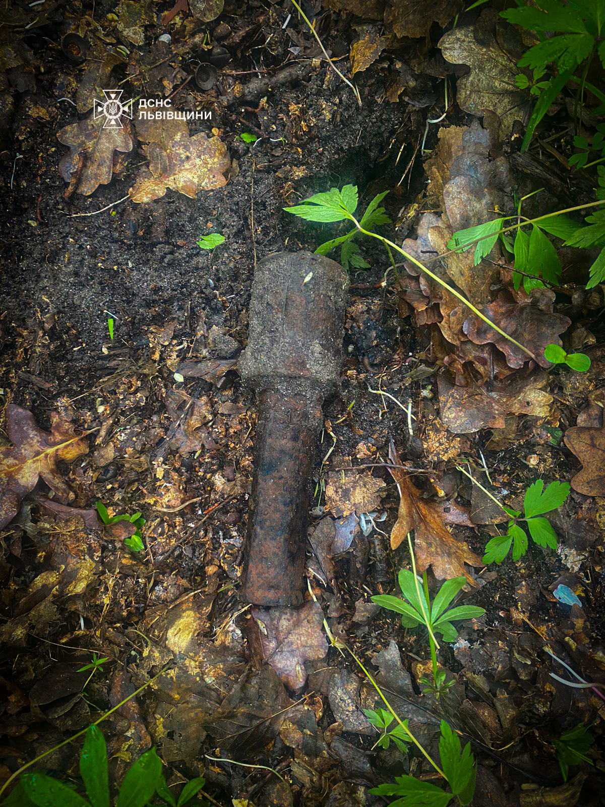 У Радехові під час прогулянки в лісі виявили ручну гранату