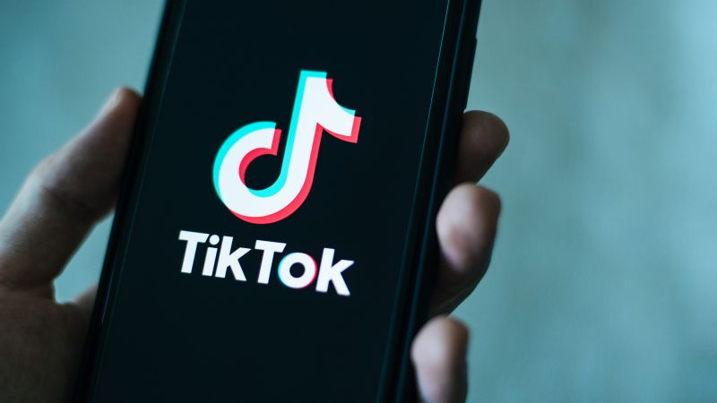 Тепер TikTok не можна використовувати на пристроях державних установ у Косово