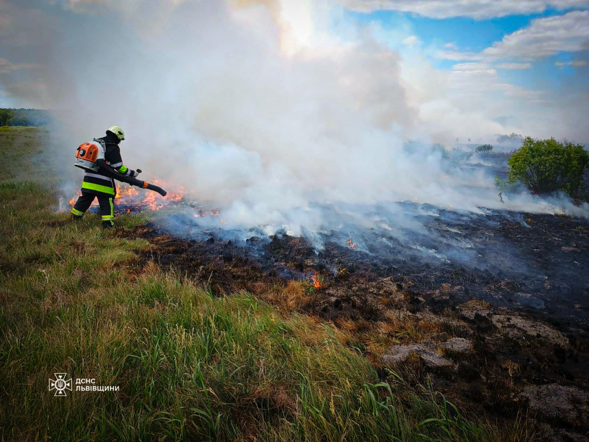 ​Львівська область: за минулу добу вогонь знищив понад 6 000 кв.м сухої трави