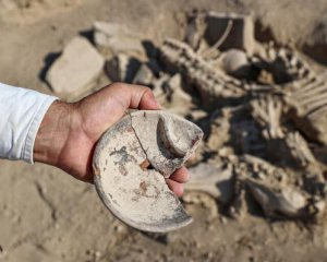 Археологи розкопали гробницю правителя Урарту. Фото: Hurriyet Daily News