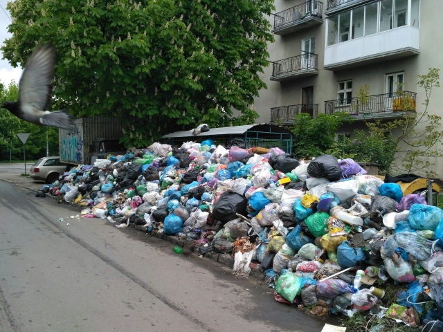 
На вулицях Львові гниють купи сміття (майданчик в районі  вул. Окружна) фото: Гал-інфо