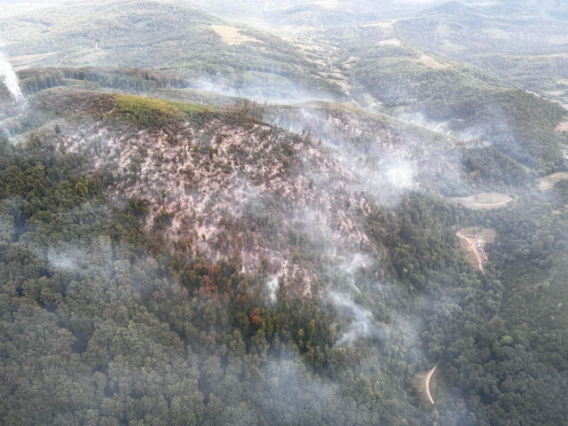 На Закарпатті триває масштабна лісова пожежа