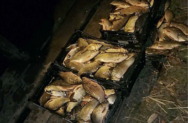 На Одещині затримали браконьєра, який виловив близько півтисячі рибин