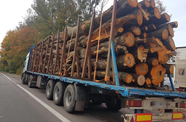 Патрульні виявили ймовірно незаконне перевезення деревини
