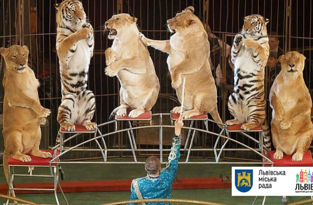 Львів закликає заборонити експлуатацію тварин у цирках