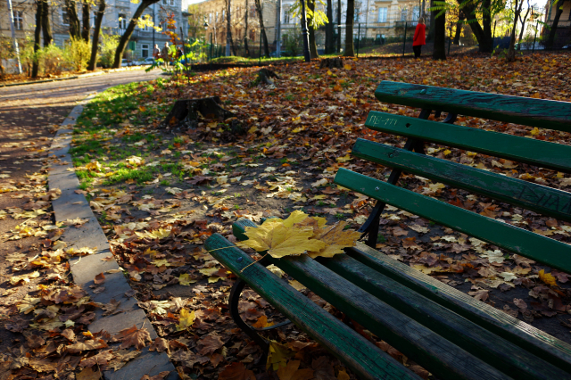 Осінній парк Івана Франка  що у центрі Львова. Фото Гал-інфо, Олена Ляхович