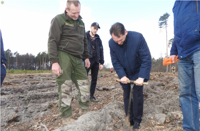 До Міжнародного дня лісу на Жовківщині висадили нові дерева