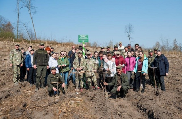 На Львівщині завершується весняна лісокультурна кампанія