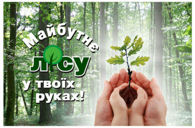 На Львівщині стартує акція "Майбутнє лісу у твоїх руках"